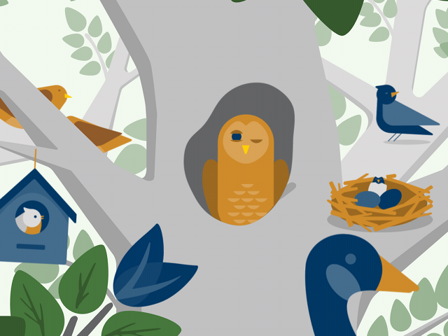 Various birds in a flat, illustrative style, sitting admid the branches of a large tree